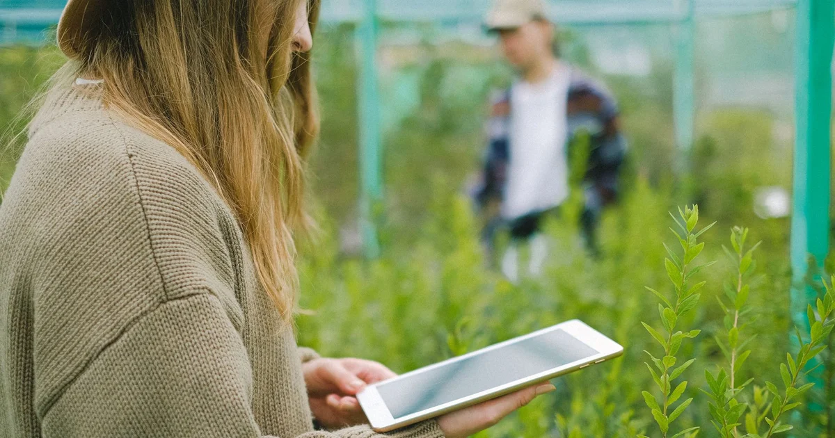 Campo agrícola con sensores IoT y montañas andinas