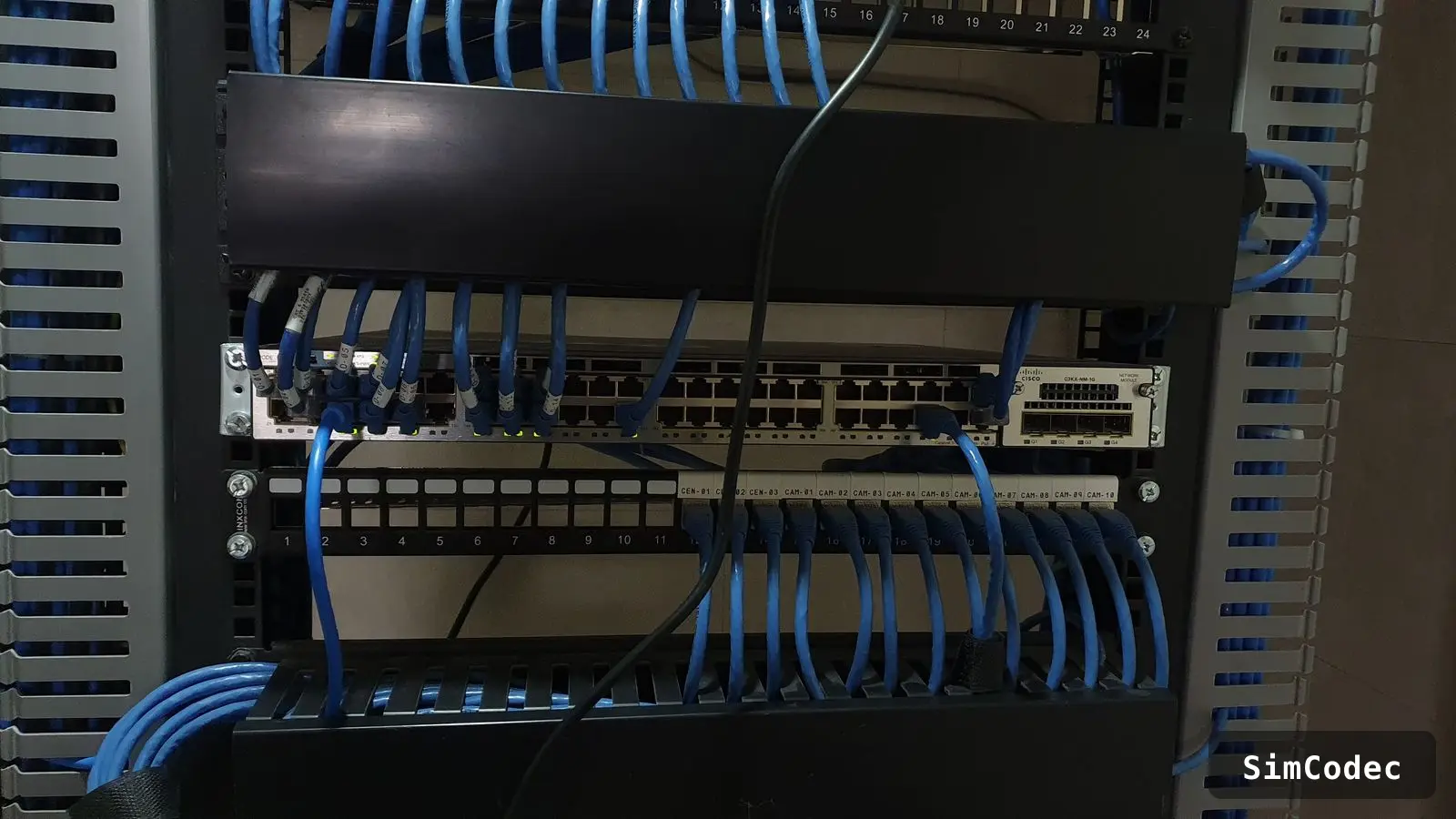 Patch panel y cableado ordenado