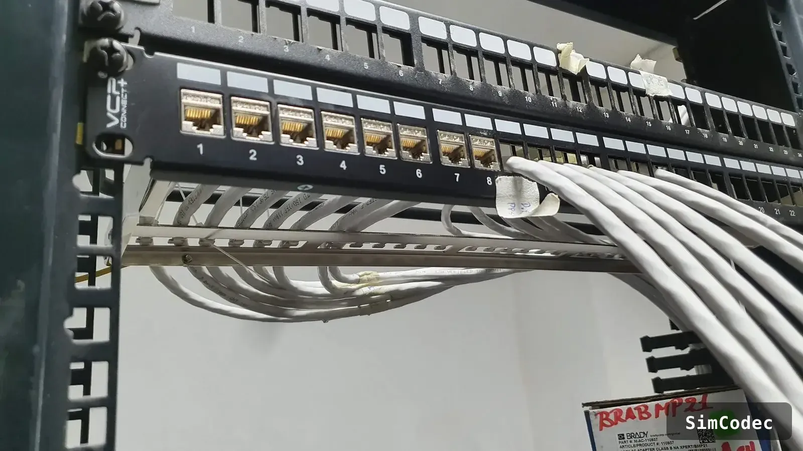 Detalle de conectores del patch panel