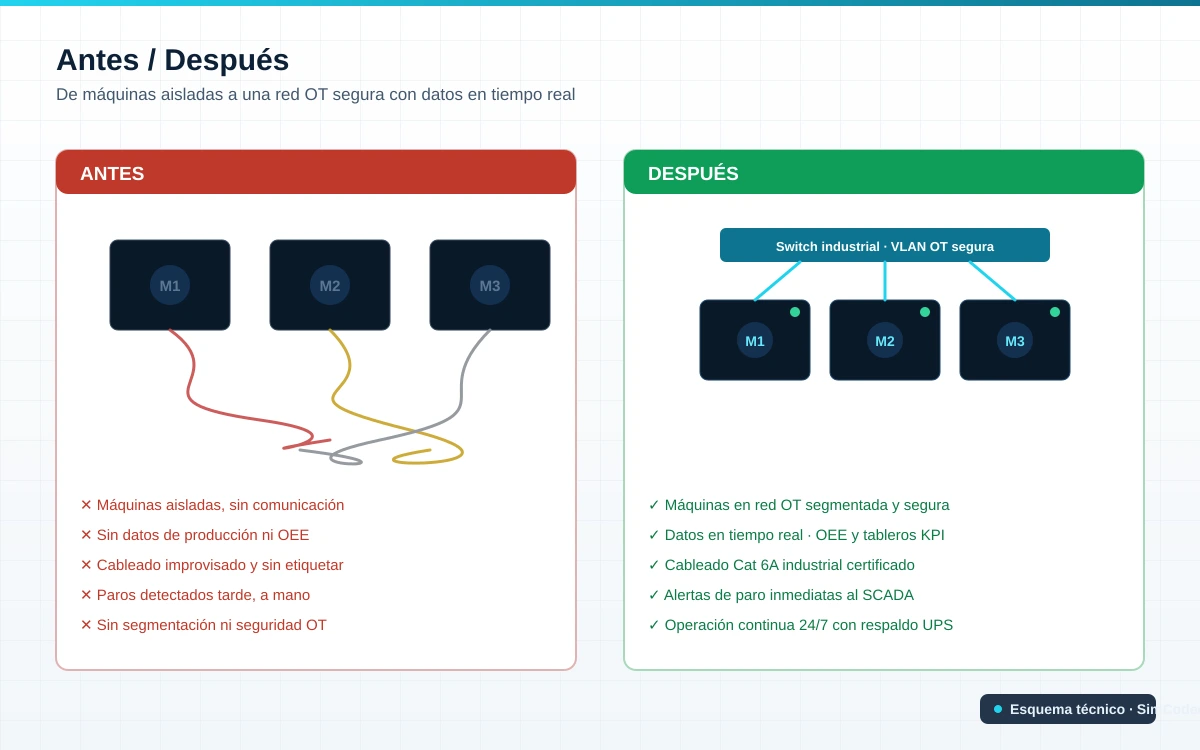 Antes y después de la red de planta