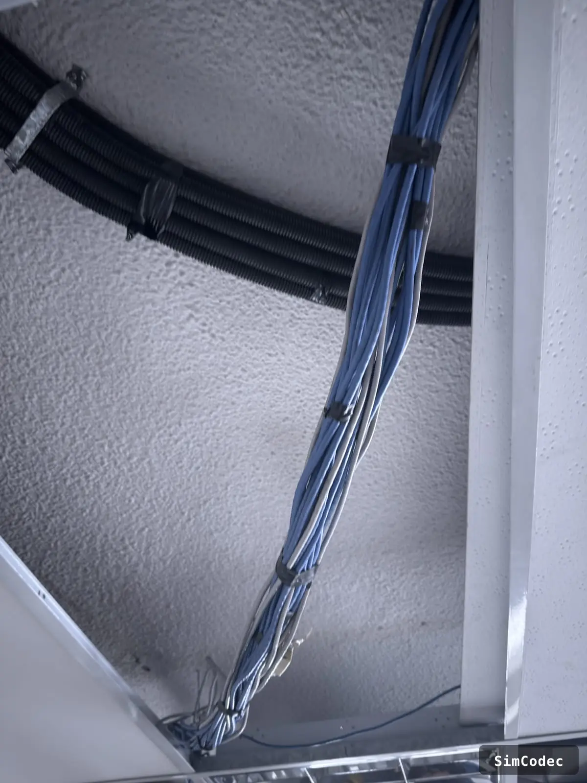 Cableado guiado y sujeto en el techo